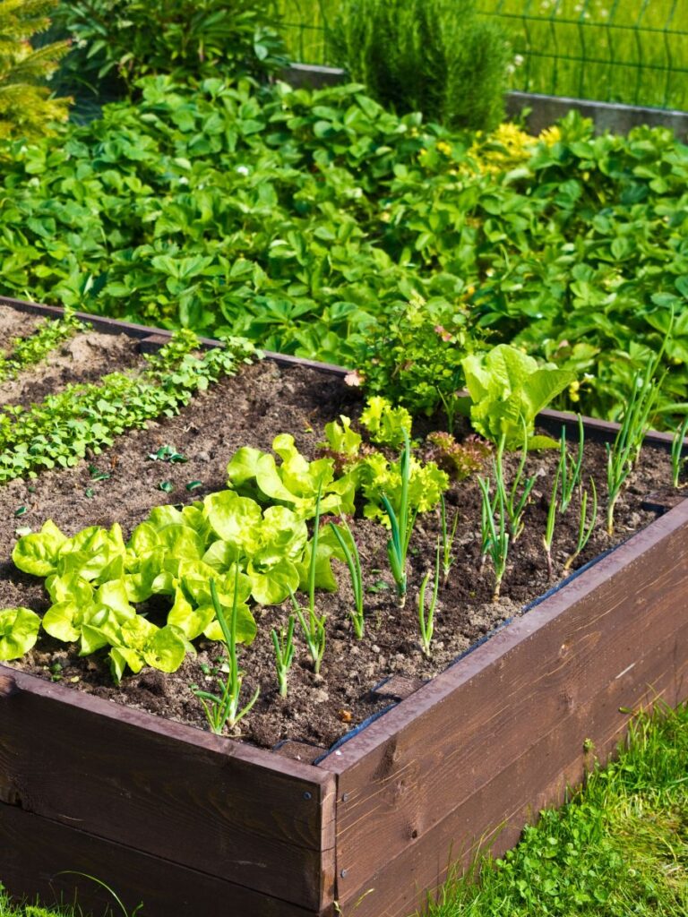 Kontakt zum Gartenrundwanderweg Altenburg