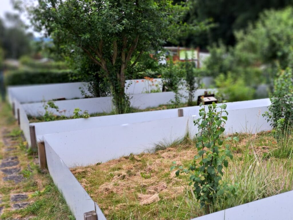 Eindrücke von der Kleingartenanlage vom Gartenrundwanderweg Altenburg