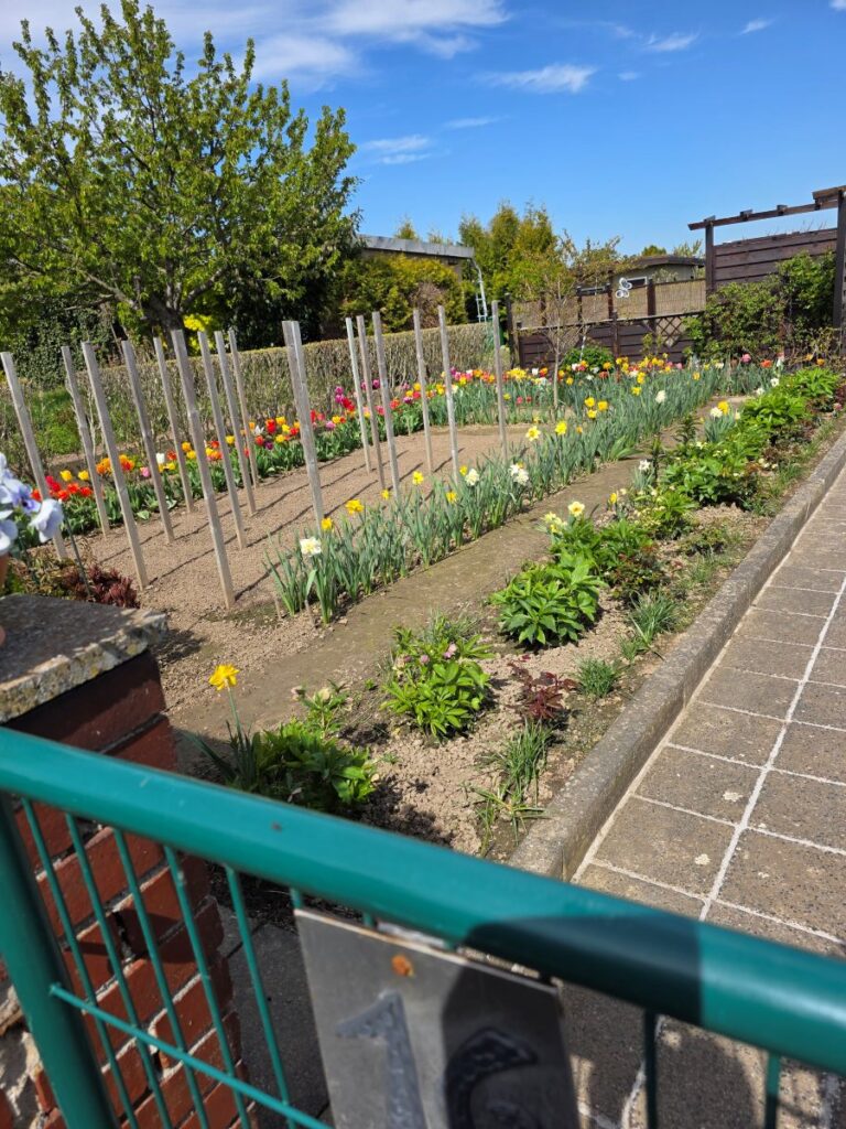 Führungen auf den Gartenrundwanderweg Altenburg Ende April 2026