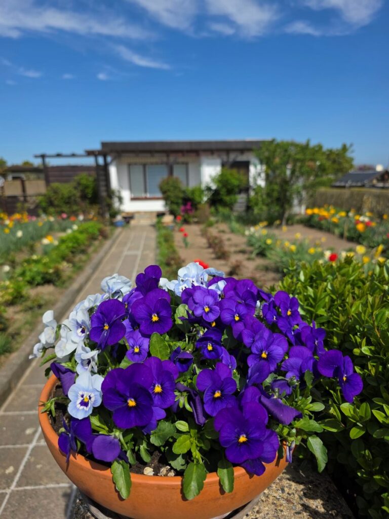 Führungen auf den Gartenrundwanderweg Altenburg Ende April 2026